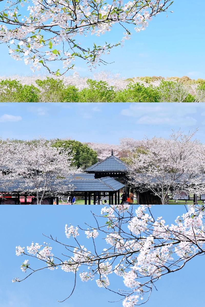 游凤凰沟景区选购指南:一次难忘的美丽之旅